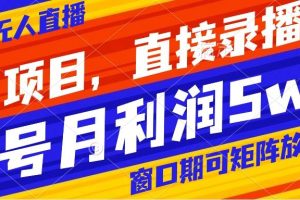 風口項目，小紅書無人直播帶貨，直接錄播，可矩陣，月入5w