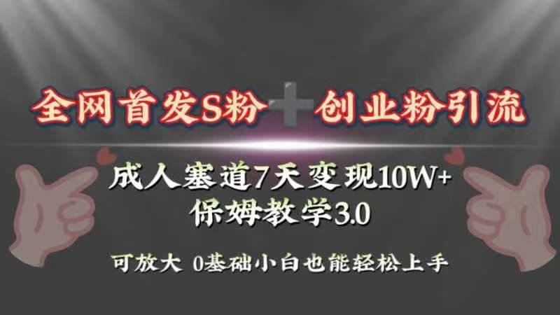 全網首發s粉加創業粉引流變現，成人用品賽道7天變現10w 保姆教學3.0插圖