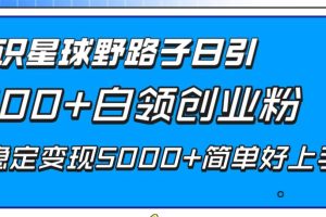 知識星球野路子日引300 白領(lǐng)創(chuàng)業(yè)粉，日穩(wěn)定變現(xiàn)5000 簡單好上手！