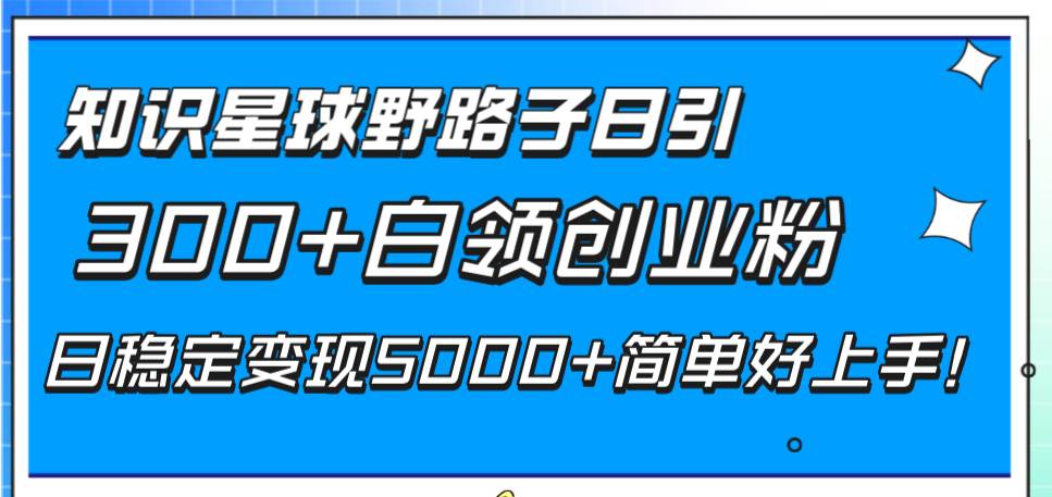 知識星球野路子日引300 白領(lǐng)創(chuàng)業(yè)粉，日穩(wěn)定變現(xiàn)5000 簡單好上手！插圖