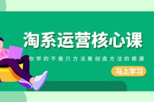 淘系-運營核心課，你學的不是只方法是創造方法的根源（190節課）