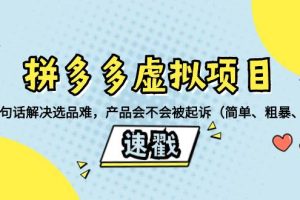 拼多多虛擬項目：三兩句話解決選品難，一個方法判斷產品容不容易被投訴，產品會不會被起訴（簡單、粗暴、好用）