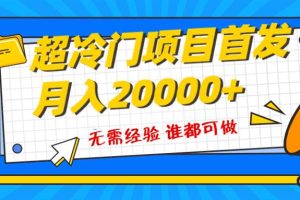 超級冷門項目，粵語動畫賽道，十分鐘一個原創視頻，簡單易上手 實測月入1w