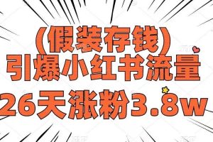 假裝存錢，引爆小紅書流量， 26天漲粉3.8w，作品制作簡單，多種變現方式