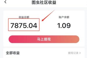 圖文冷門新玩法，搭配AI無腦上傳，高效月入5000