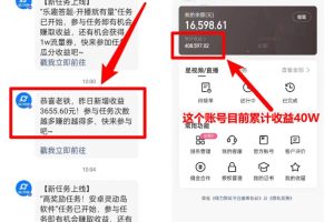 找茬小游戲直播，強(qiáng)開磁力聚星，輕松日入2000 ，小白也能輕松上手