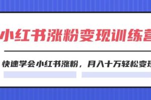2024小紅書漲粉變現訓練營，快速學會小紅書漲粉，月入十萬輕松變現(40節)