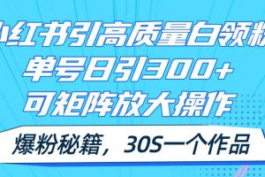 小紅書引高質量白領粉，單號日引300+，可放大操作，爆粉秘籍！30s一個作品