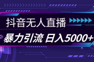 抖音無人直播，暴利引流，日入5000+