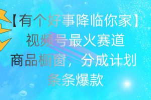 有個好事 降臨你家：視頻號最火賽道，商品櫥窗，分成計劃 條條爆款，每…