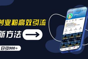創業粉高效引流，抖音工具號玩法，日引300+，不要成為學習高手，要成為…
