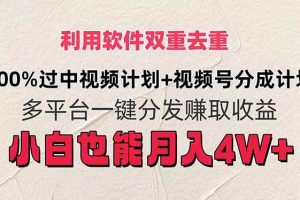 利用軟件雙重去重，100%過中視頻+視頻號分成計(jì)劃小白也可以月入4W+