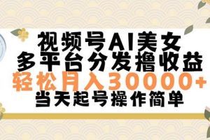 視頻號(hào)AI美女，輕松月入30000+,操作簡(jiǎn)單輕松上手