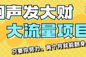 悶聲發大財，大流量項目，月收益過3萬，只要你努力，兩個月就能翻身