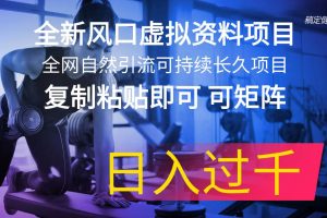 全新風口虛擬資料項目 全網自然引流可持續長久項目 復制粘貼即可可矩陣…