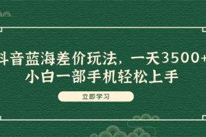 抖音藍海差價玩法，一天3500+，小白一部手機輕松上手
