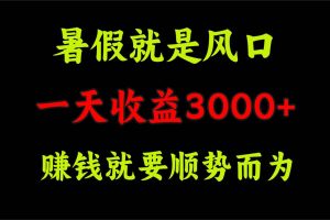一天收益3000+ 賺錢就是順勢而為，暑假就是風口
