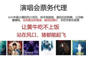 演唱會票務代理，2024年最火爆風口項目，全網最低的票價，小白一分鐘上…