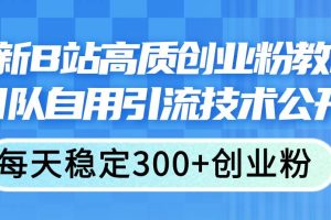 最新B站高質(zhì)創(chuàng)業(yè)粉教程，團(tuán)隊(duì)自用引流技術(shù)公開