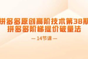 拼多多原創(chuàng)高階技術(shù)第38期，拼多多階梯提價(jià)破量法（14節(jié)課）