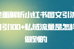 全面解析小紅書圖文引流日引100私域流量是怎樣做到的