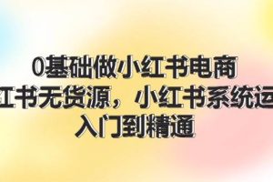 0基礎做小紅書電商，小紅書無貨源，小紅書系統運營，入門到精通 (70節)