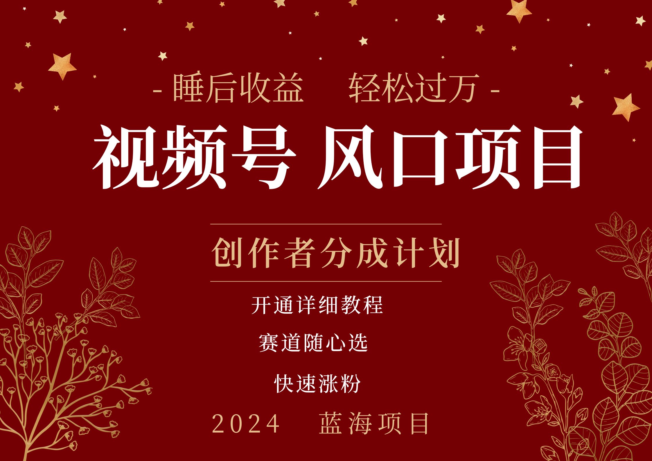 擁有睡眠收益的微信視頻號大風(fēng)口項目，輕松月入過萬+，多賽道選擇，可矩陣，玩法簡單輕松上手