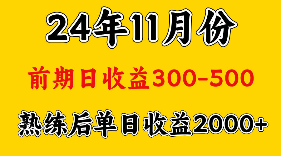 輕資產項目，前期日收益500左右，后期日收益1500-2000左右，多勞多得