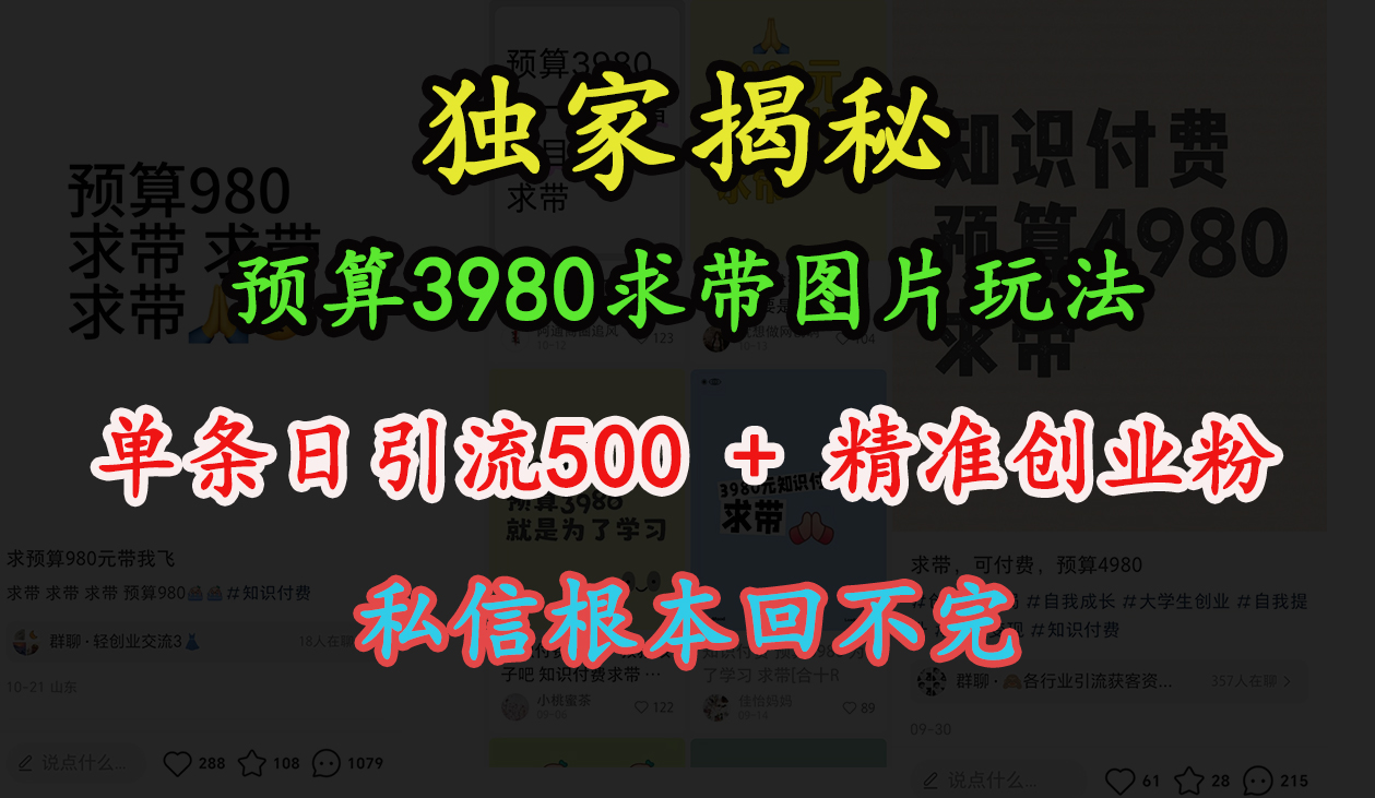 “小紅書”預算3980求帶 圖片玩法，單條日引流500+精準創業粉，私信根本回不完
