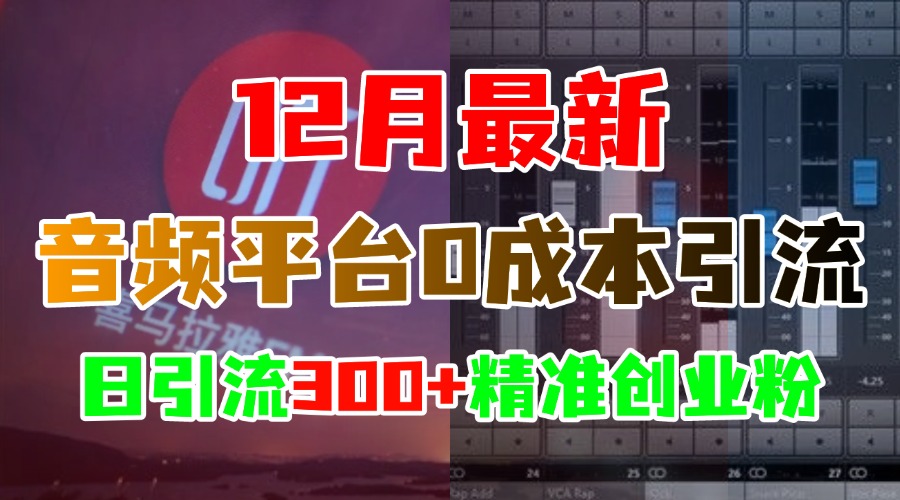 12月最新：音頻平臺0成本引流，日引300+精準創業粉