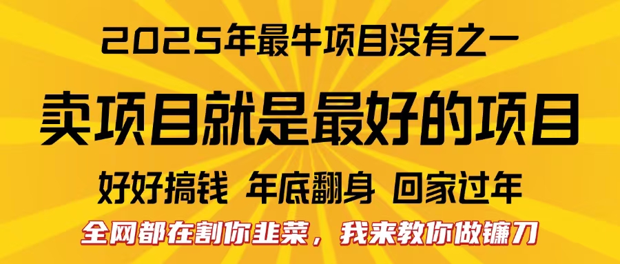 全網(wǎng)都在割你韭菜，我來教你做鐮刀。賣項(xiàng)目就是最好的項(xiàng)目，2025年最牛互聯(lián)網(wǎng)項(xiàng)目插圖
