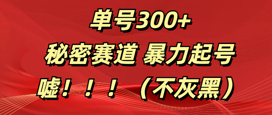 單號300+  秘密賽道 暴力起號  （不灰黑）