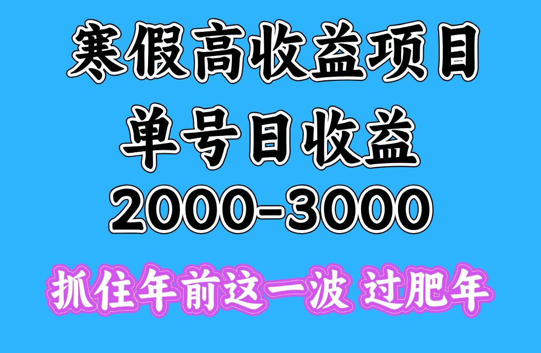 寒假期間一天收益2000-3000+，抓住年前這一波
