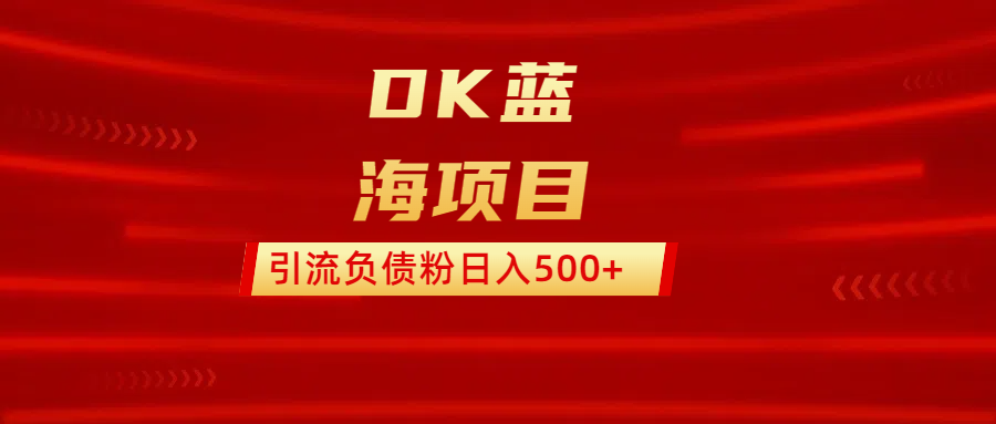 DK藍海項目  通過，抖音，快手，小紅書，引流負債粉日入500+插圖