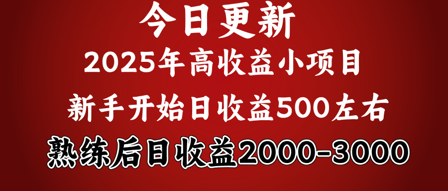 好項目一眼就能看出來，日收益1000，長久可做，2025拼的就是我比你勤奮