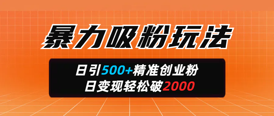 暴力吸粉玩法，日引500+精準創業粉，日變現輕松破2000