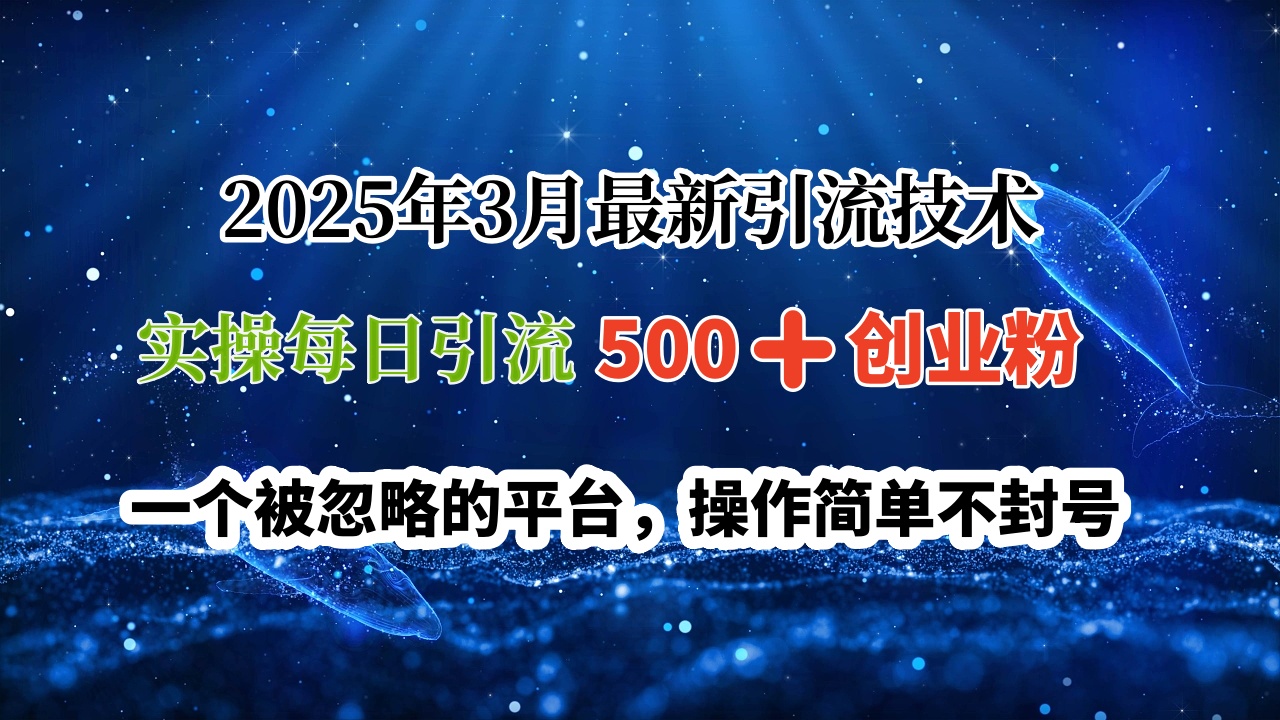 2025年3月最新引流技術(shù)，實(shí)操每日引流500?創(chuàng)業(yè)粉，一個(gè)被忽略的平臺(tái)，操作簡(jiǎn)單不封號(hào)