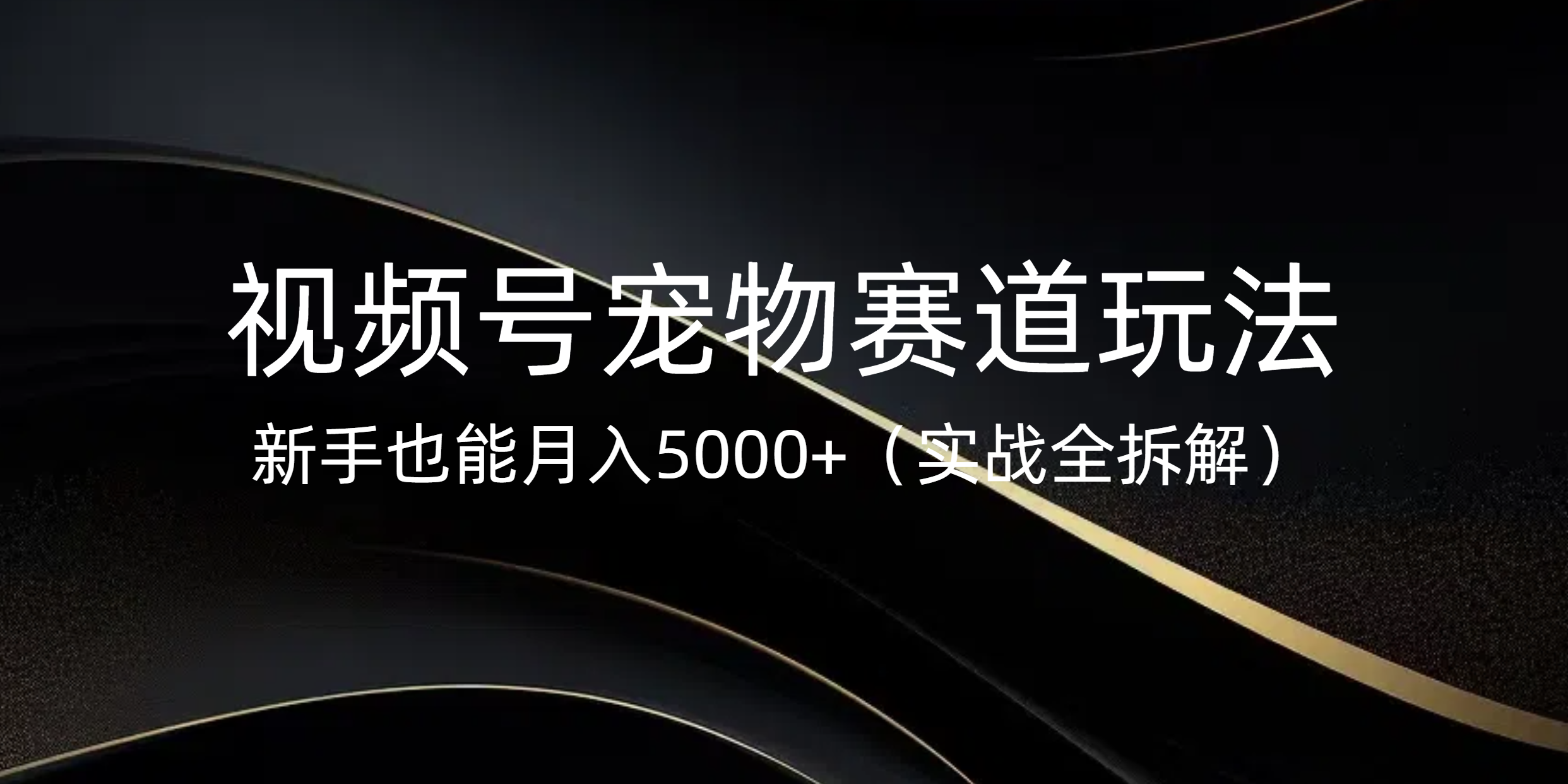 視頻號寵物賽道玩法，新手也能月入5000+（實戰全拆解）