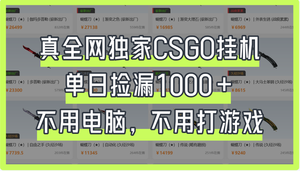 真全網獨家CSGO掛機，單日撿漏1000+