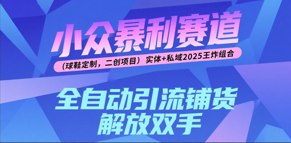 楠—小眾暴利賽道（球鞋定制，二創(chuàng)項目）實體+私域2025王炸組合