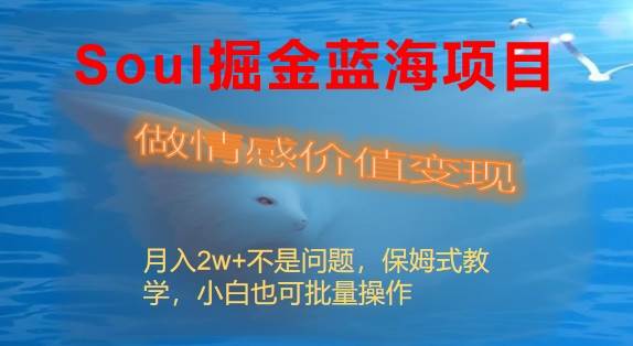 Soul掘金藍海項目細分賽道，做情感價值變現，月入2w 不是問題