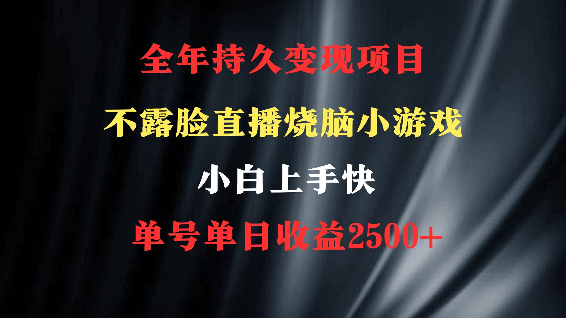 2024年 最優(yōu)項(xiàng)目，燒腦小游戲不露臉直播  小白上手快 無(wú)門(mén)檻 一天收益2500+插圖1