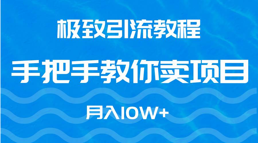 極致引流教程，手把手教你賣項目，月入10W+