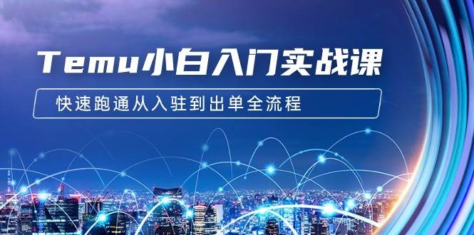Temu小白入門實(shí)戰(zhàn)課：跨境拼多多電商培訓(xùn) 快速跑通從入駐到出單全流程-12節(jié)