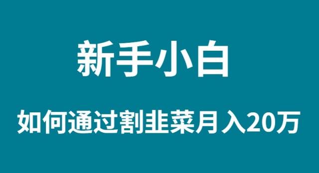 新手小白如何通過割韭菜月入 20W插圖