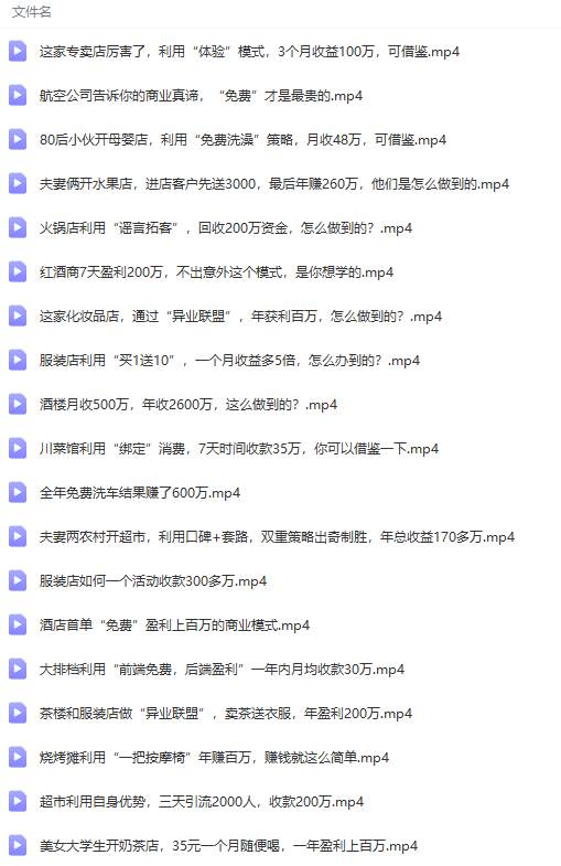 真實有效391套商業模式，年入幾十到幾百萬案例解析（電子書+視頻+圖文）插圖7