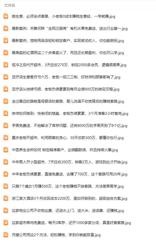 真實有效391套商業模式，年入幾十到幾百萬案例解析（電子書+視頻+圖文）插圖4
