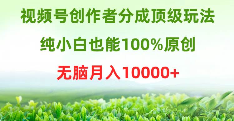 視頻號創(chuàng)作者分成頂級玩法，純小白也能100%原創(chuàng)，無腦月入10000+