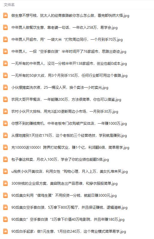 真實有效391套商業模式，年入幾十到幾百萬案例解析（電子書+視頻+圖文）插圖6