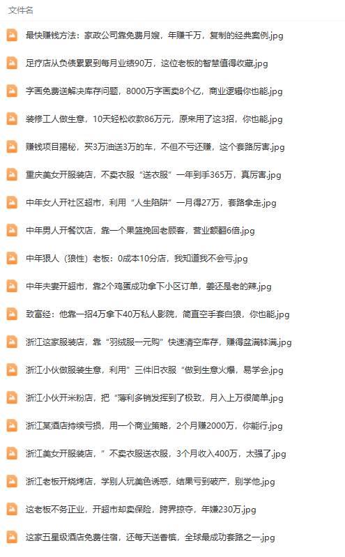 真實有效391套商業模式，年入幾十到幾百萬案例解析（電子書+視頻+圖文）插圖2
